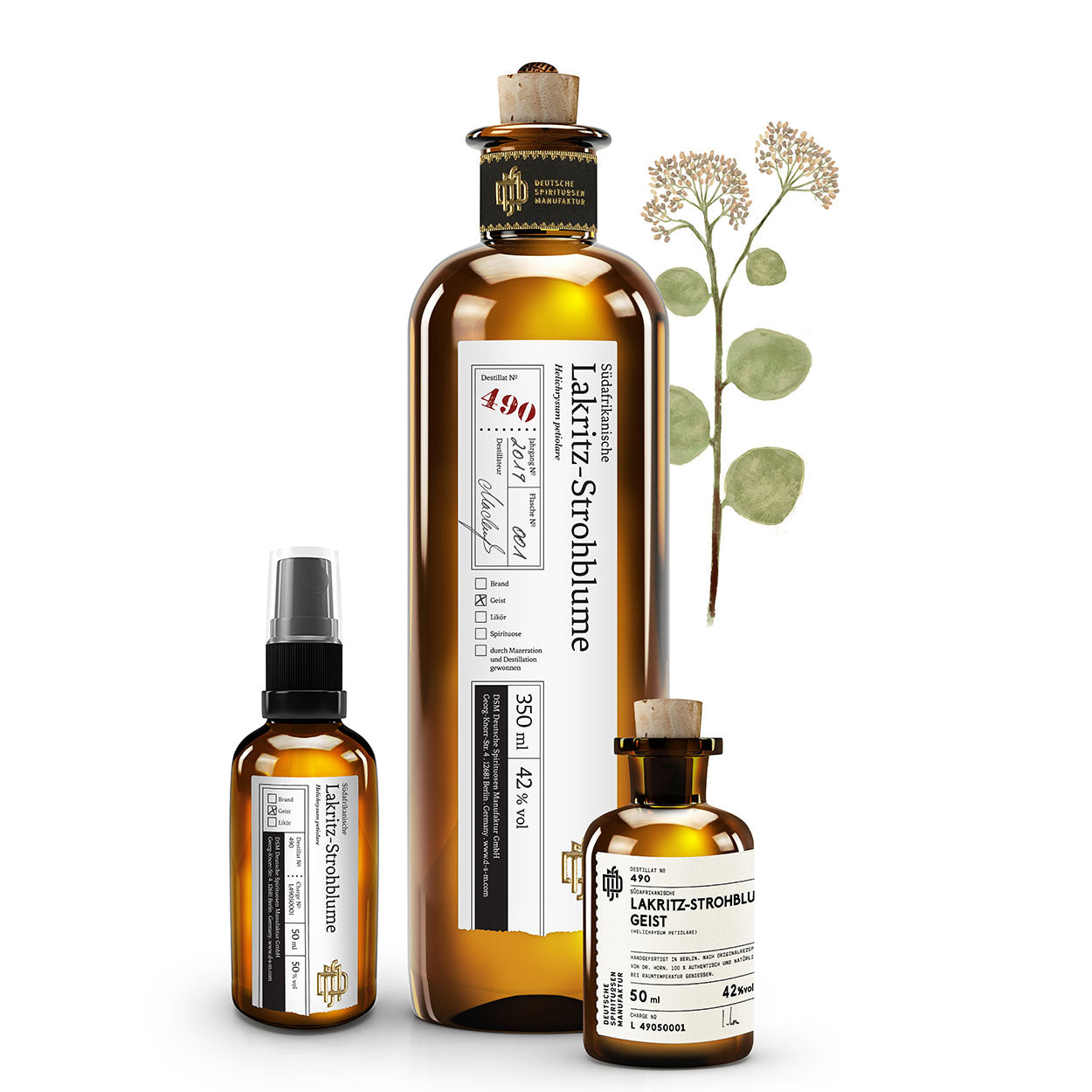 No 490 Südafrikanische Lakritz-Strohblume - 350ml